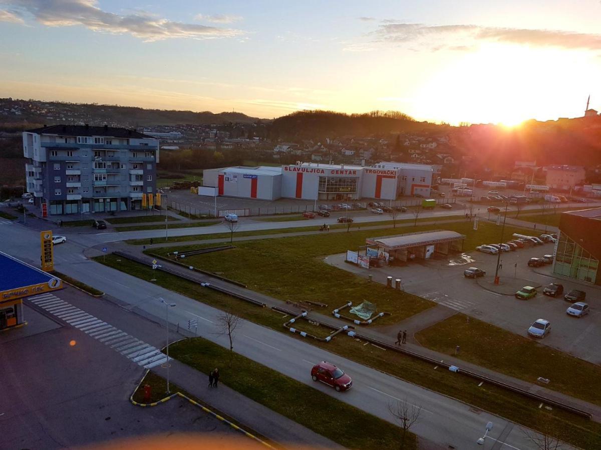 Apartman Istra, דובוי מראה חיצוני תמונה