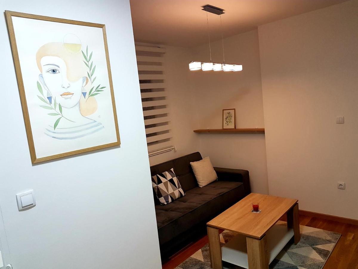Apartman Istra, דובוי מראה חיצוני תמונה
